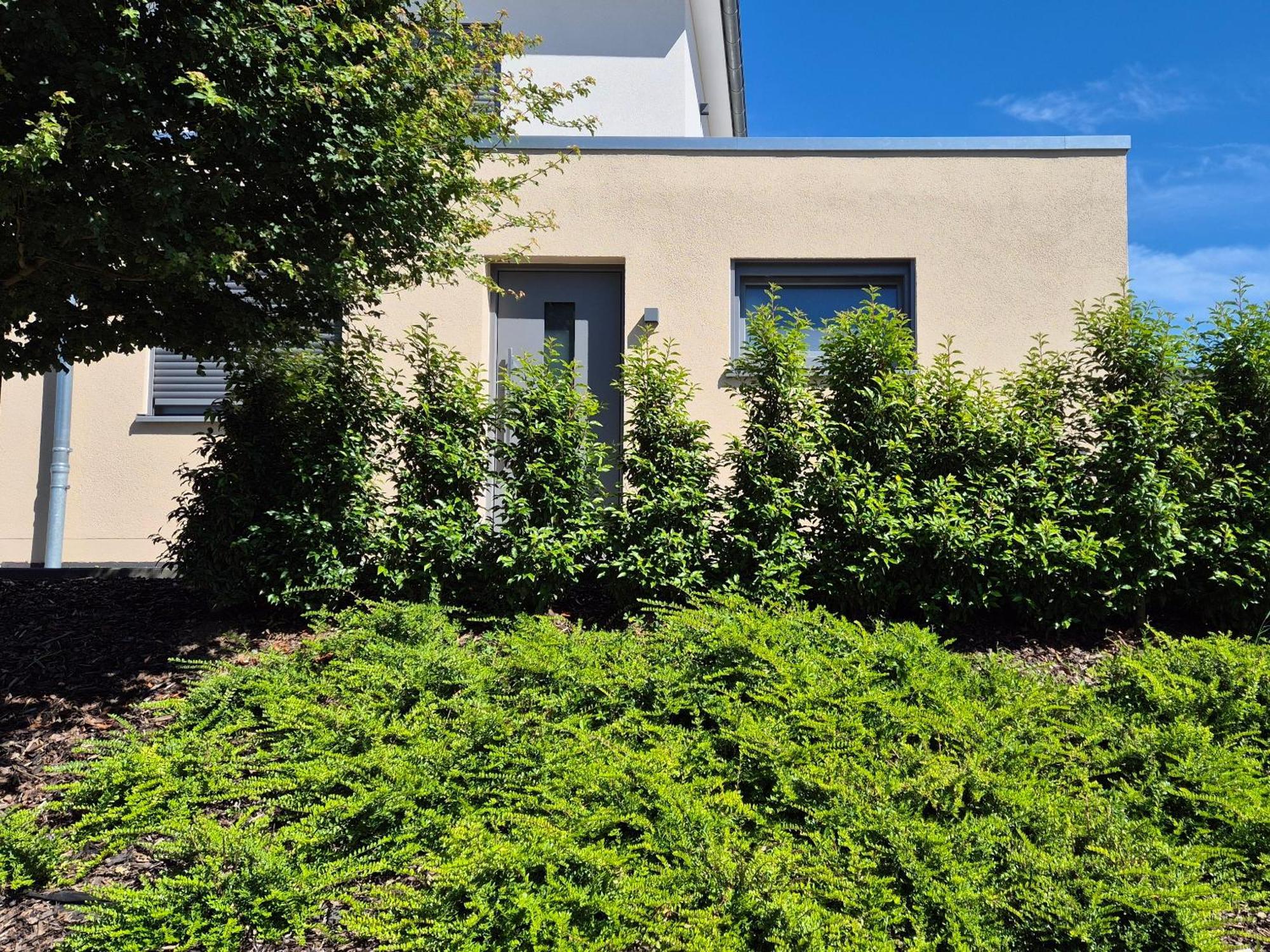 Wine & Hike Apartment Wincheringen Exterior photo